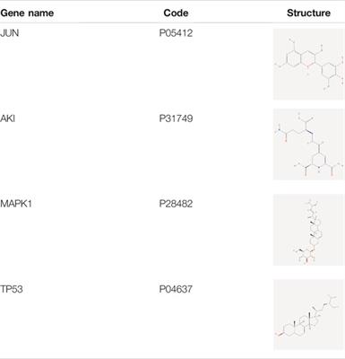 Network Pharmacology to Explore the Molecular Mechanisms of Prunella vulgaris for Treating Hashimoto’s Thyroiditis